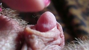 Intense Close-Up Of My Throbbing Clitoris Head In High Definition