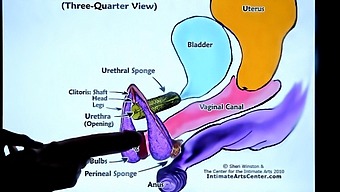 Second Lesson On How To Make A Girl Squirt
